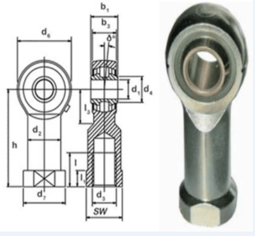 TR-12 ROTULA SEAL MASTER HEMBRA DERECHA D1=3/4” ROSCA 3/4-16